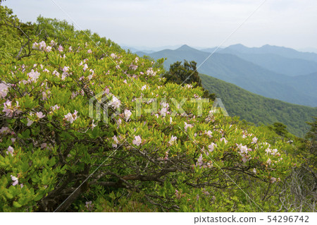 Deogyusan, Muju-gun, Jeonbuk Deogyusan, Muju-gun, Jeonbuk 54296742
