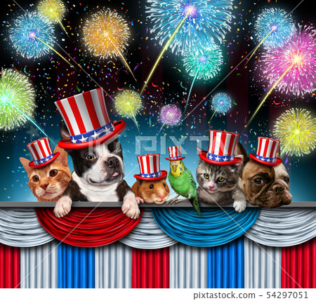 Fourth Of July Pet Celebration 54297051