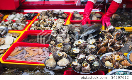 Shellfish of Jagalchi Market Shellfish of Jagalchi Market 54297612