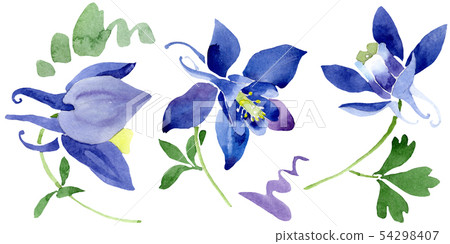 Blue aquilegia floral botanical flowers. Watercolor background set. Isolated aquileqia illustration 54298407