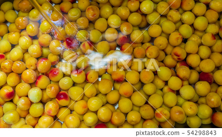 Minami Takaume for plum drying Minami Takaume for plum drying 54298843