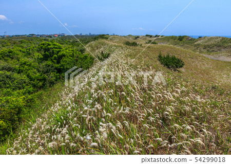 Kujukuri coast Kujukuri coast 54299018