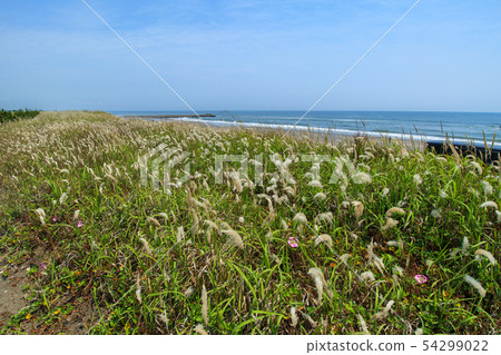 Kujukuri coast Kujukuri coast 54299022