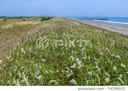 Kujukuri coast Kujukuri coast 54299023