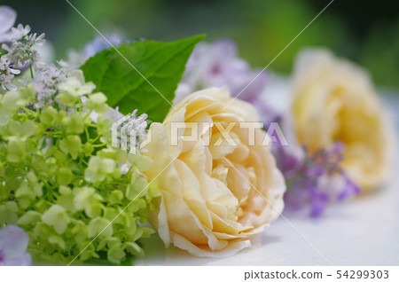 Summer flowers 54299303