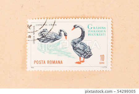 ROMANIA - CIRCA 1964 54299305