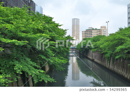 View from the Meguro River Nakasato Bridge in early summer 54299365