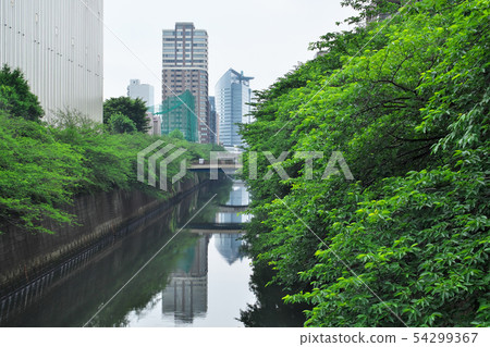 從Meguro河Nakasato橋樑的看法在初夏 從Meguro河Nakasato橋樑的看法在初夏 54299367