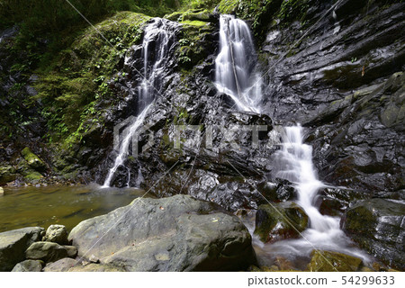 Inu Naruyama Shiroboro-ji Temple Gohatsu Falls(大阪縣泉佐野市) Inu Naruyama Shiroboro-ji Temple Gohatsu Falls(大阪縣泉佐野市) 54299633