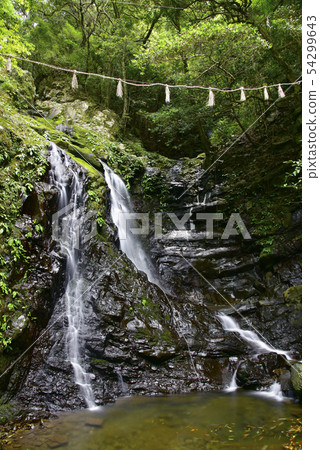 Inu Naruyama Shiroboro-ji Temple Gohatsu Falls（大阪縣泉佐野市） 54299643