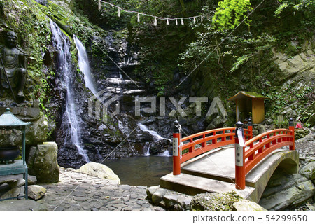 Inu Naruyama Shiroboro-ji Temple Gohatsu Falls（大阪縣泉佐野市） 54299650