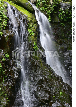 Inu Naruyama Shiroboro-ji Temple Gohatsu Falls (Izumisano City, Osaka Prefecture) 54299653