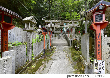 Approach to the waterfall of the Inunanzan Shiroboro-ji Temple line (Izumisano City, Osaka Prefecture) 54299669