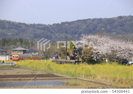 Spring Kamisokawama站和Koshiba鐵路 Spring Kamisokawama站和Koshiba鐵路 54300441