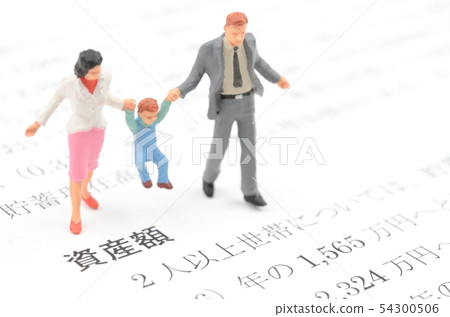Asset amount 54300506