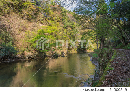 Landscape seen from Nakase boardwalk in Yoro Valley in spring 54300849
