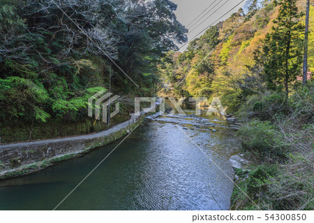 Landscape of Nakase promenade seen from co-ease bridge of spring Yoro valley 54300850