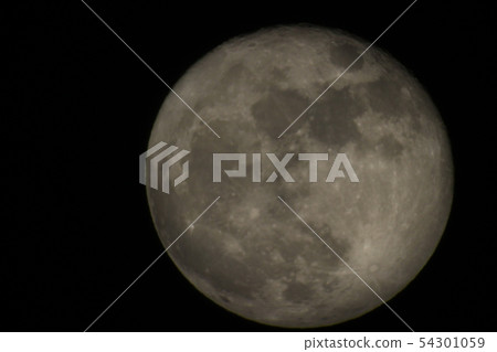 Moon Moon 54301059