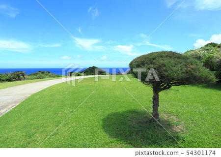 眺望遠方的大海和天空的道路 54301174