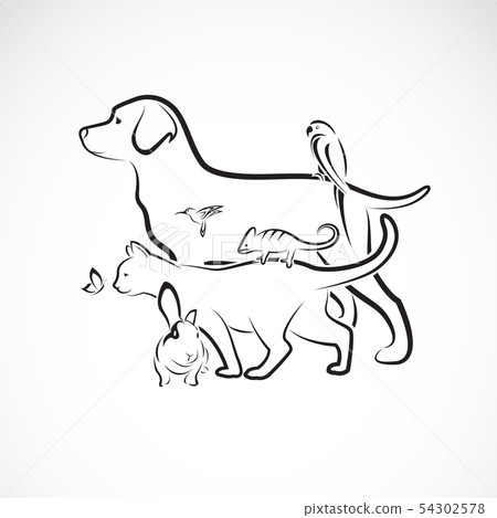 group of pets - Dog, Cat, Parrot, Rabbit,