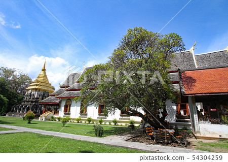 Wat Chen Man Wat Chen Man 54304259