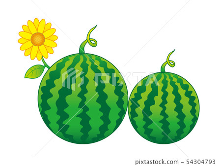 海藻和向日葵 54304793