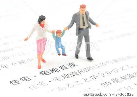 住房和住房土地資產 住房和住房土地資產 54305822