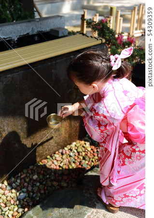 Temizusha（品川參觀，禮貌儀式，753天的節日，活動，神社，寺廟和神社，乾淨的禮儀，夏季節日，和服） 54309359