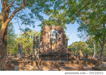 Standing Buddha statue at Wat Phra Si Ariyabot Standing Buddha statue at Wat Phra Si Ariyabot 54310551