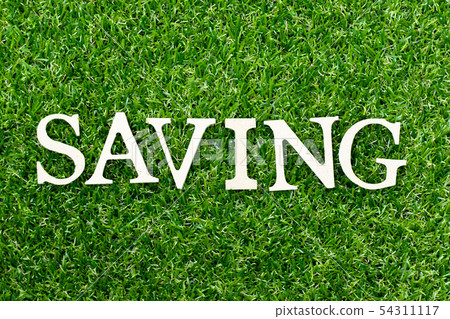 Wood alphabet letter in word saving on green grass Wood alphabet letter in word saving on green grass 54311117