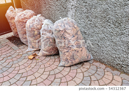 Fallen leaves packed in plastic bags for 54312367