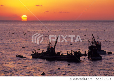 Operation morning Operation morning 54312893