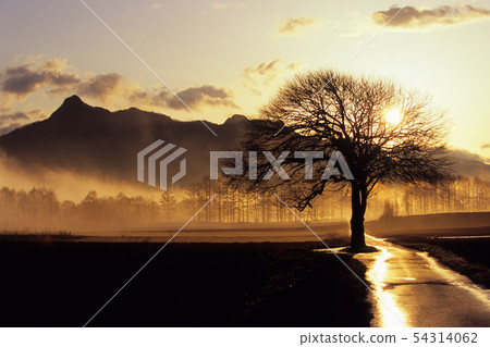 Morning to move 54314062