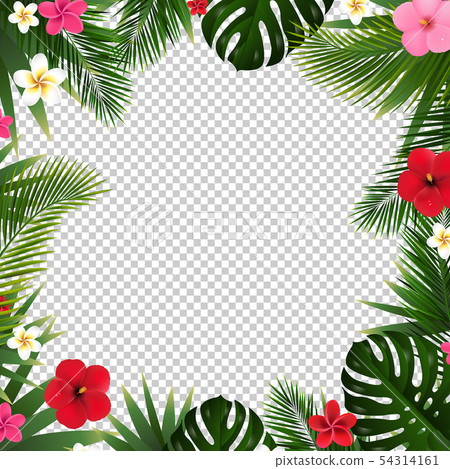 Palm Leaf And Flowers Isolated Transparent Palm Leaf And Flowers Isolated Transparent 54314161