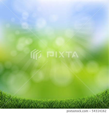 Green Nature Bokeh With Green Grass Border 54314162