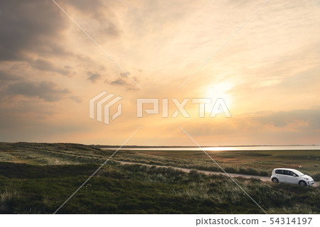 Traveling on road through moss dunes at sunrise 54314197