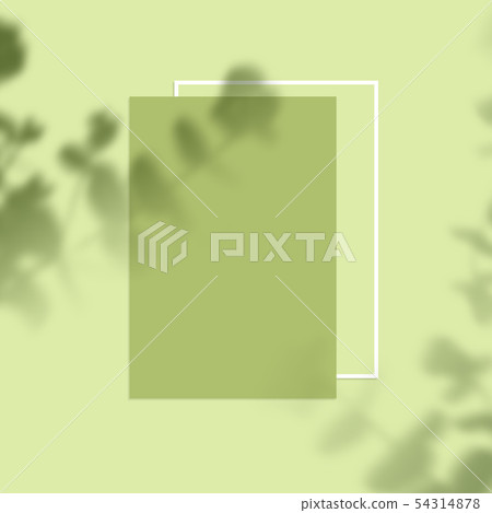 Summer background with frame, background of summer concept Summer background with frame, background of summer concept 54314878