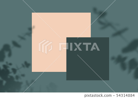 Summer background with frame, background of summer concept Summer background with frame, background of summer concept 54314884