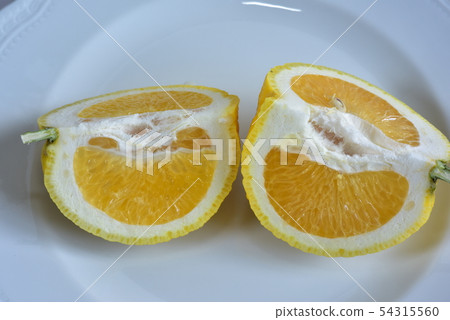 Sweet summer oranges at home Sweet summer oranges at home 54315560