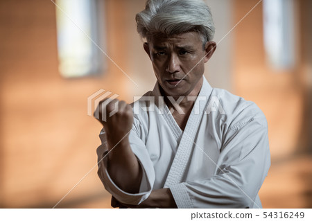 karate, empty hand, male 54316249