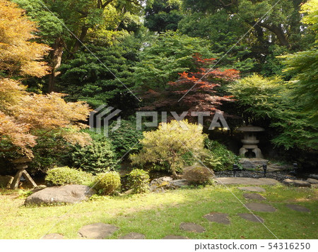 The Japanese Garden of the Former Maeda Tate House / Japanese-style House 54316250