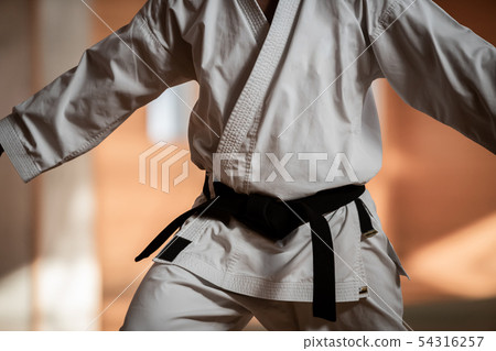 karate, empty hand, male 54316257