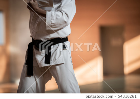 空手道 空的手 男人 54316261