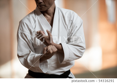 karate, empty hand, male 54316291