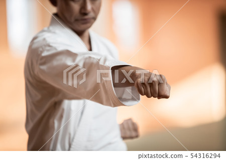 karate, empty hand, male 54316294