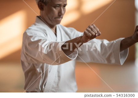 karate, empty hand, male 54316300