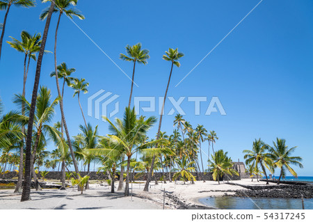 Pu'u Honua O Honaunau National Historical Park 54317245