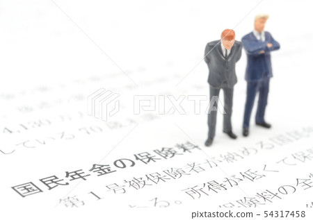 National pension premium 54317458