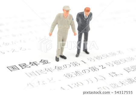 國民養老金 54317555