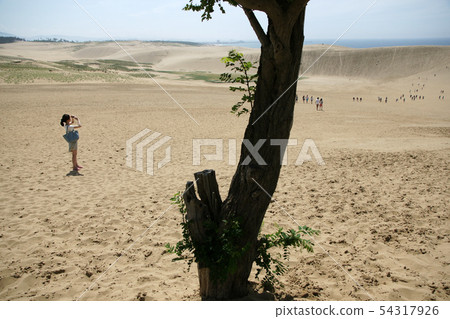 Tottori Four seasons walk summer sand dunes 54317926